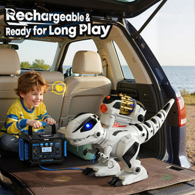 Ruko 8809 easy-to-use remote with 15-meter range