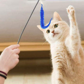 RWHXRWY worms on string for magic tricks and gifts.