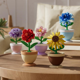 Sacblirr relaxing-building activity promotes calm focus while crafting a miniature garden.