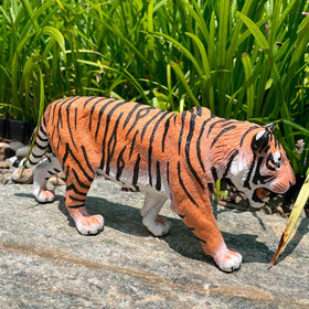 Safari Ltd Siberian Tiger Figurine scale-size reference for display and play