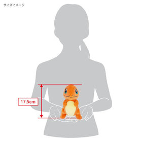 Sanei Charmander plush packaging, new sealed gift-ready presentation.