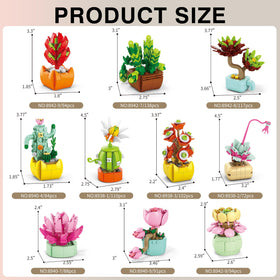 Sawaruita succulent blocks gift-ready for birthdays and holidays.