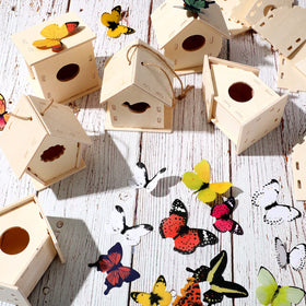 Sawysine DIY birdhouses inspire imaginative activities in schools