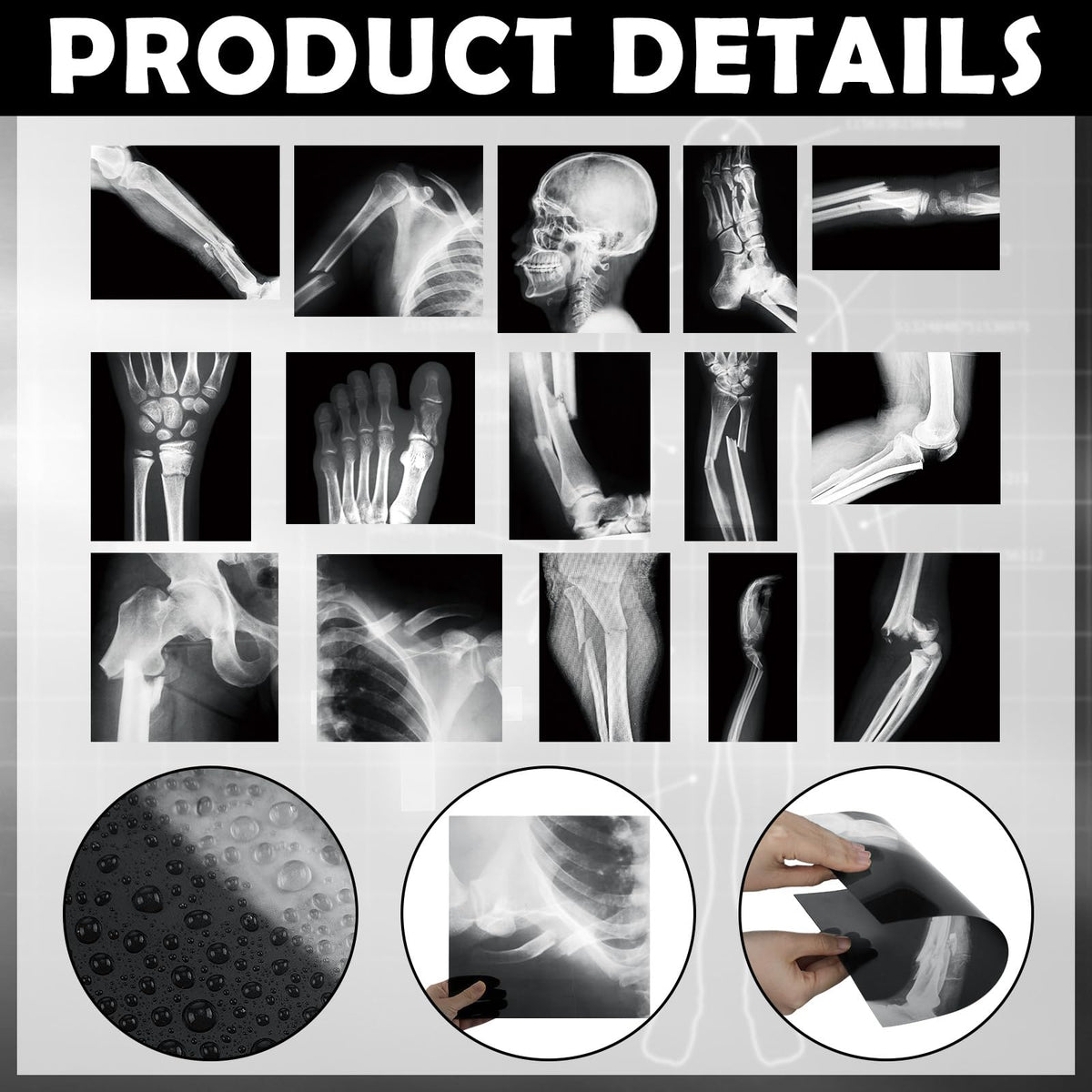 Sayglossy broken bones X-ray set educational guide for anatomy basics.