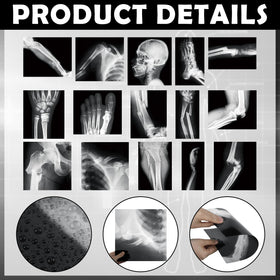 Sayglossy broken bones X-ray set educational guide for anatomy basics.