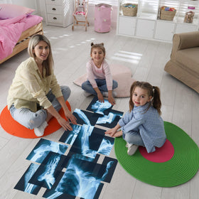 Sayglossy educational study guide shows bone parts for location identification