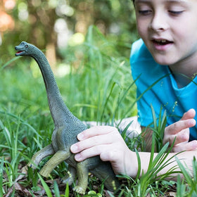 Schleich dinosaurs collection supports Montessori-inspired learning through hands-on play