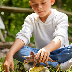 Schleich Triceratops educational use for Montessori-style discovery.