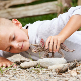 Schleich Triceratops frill detail enhances realistic anatomy learning.