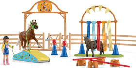 Schleich detailed figures with durable, child-friendly finishes.