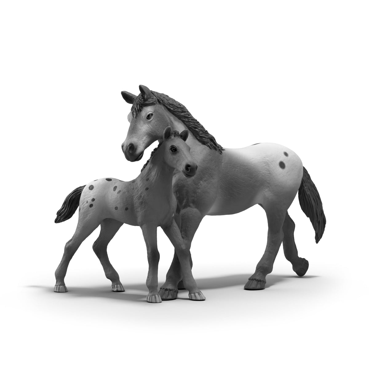 Practice jump highlight for varied horse training challenges