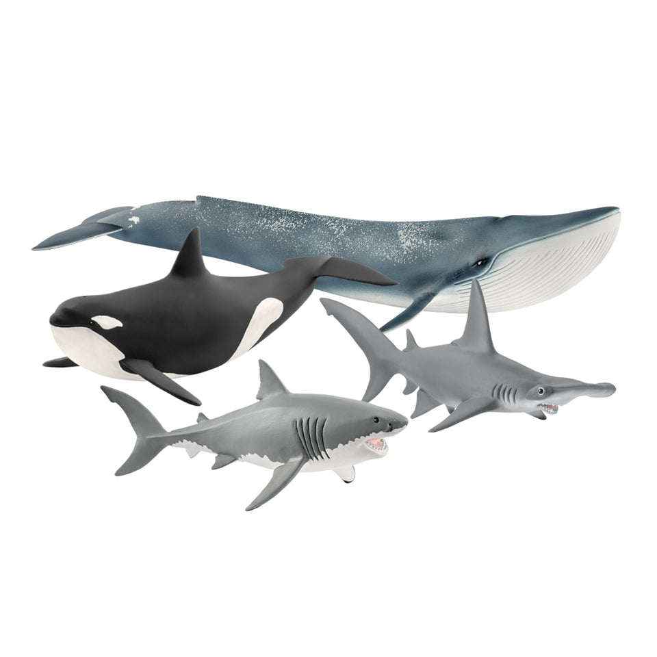 Schleich Wild Life blue whale figurine for imaginative ocean exploration.