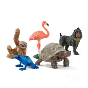 Schleich Wild Life flamingo figurine for imaginative play and display