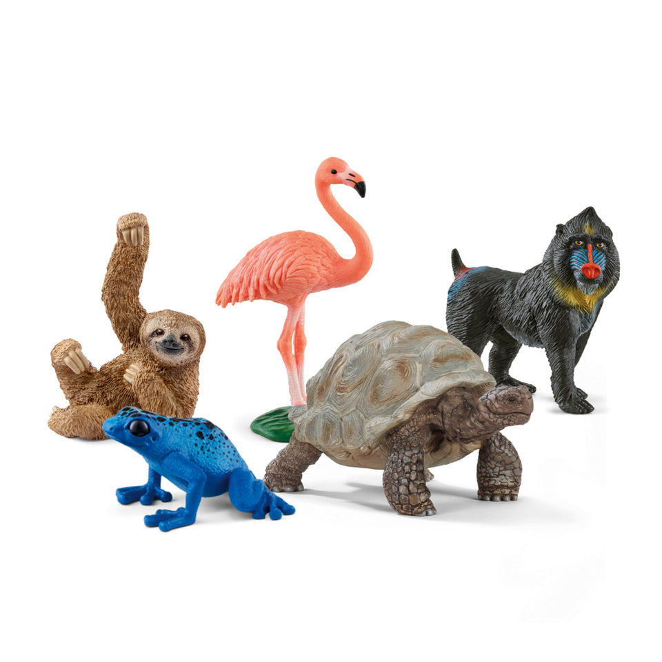 Schleich Wild Life flamingo figurine for imaginative play and display