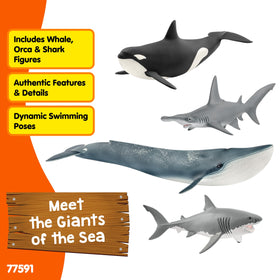 Schleich Wild Life orca figurine for storytelling and marine learning.