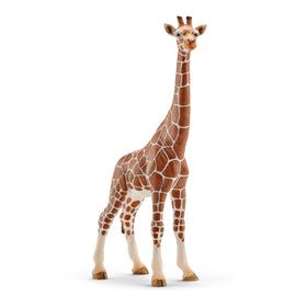 Schleich safari scene playset image offering multiple figures for imaginative adventures