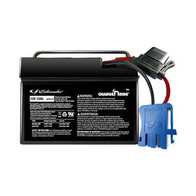 Schumacher TB4 12V battery powers Peg Perego ride-on toys for longer play sessions.