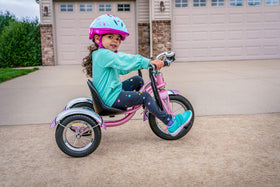 Schwinn Roadster rear deck provides space for a passenger.