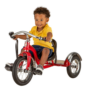 Schwinn Roadster rear deck for a friendly passenger ride.