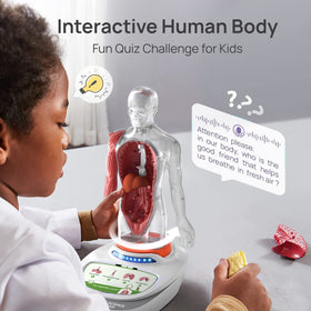 Science Can human body model bones and joints highlighted for proportion and skeletal structure awareness.