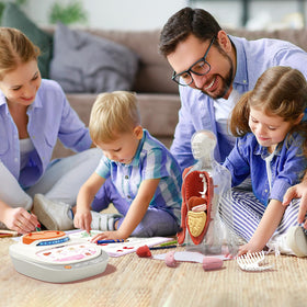 Science Can human body model with removable organs for tactile study of placement and body systems.