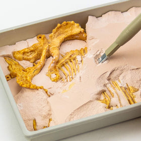 Science4you Triceratops fossil bones—excavate 10 bones and assemble a complete skeleton.