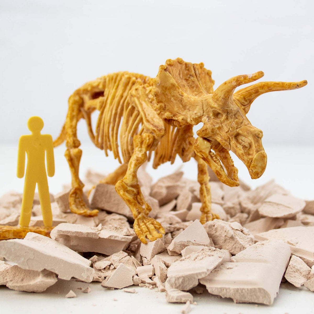 Science4you Triceratops fossil guide book—multilingual educational resource for curious learners.