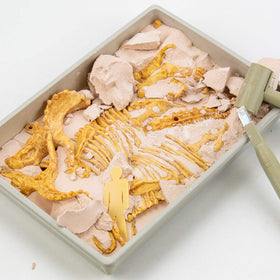 Science4you Triceratops fossil gypsum—reveal a realistic prehistoric specimen in gypsum.