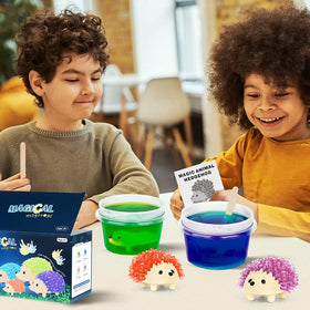 Sdaymol gift-ready crystal kit supports curious kids