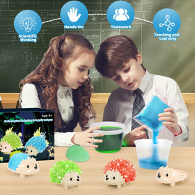 Sdaymol Crystal Growing Kit in-use scene with simple steps