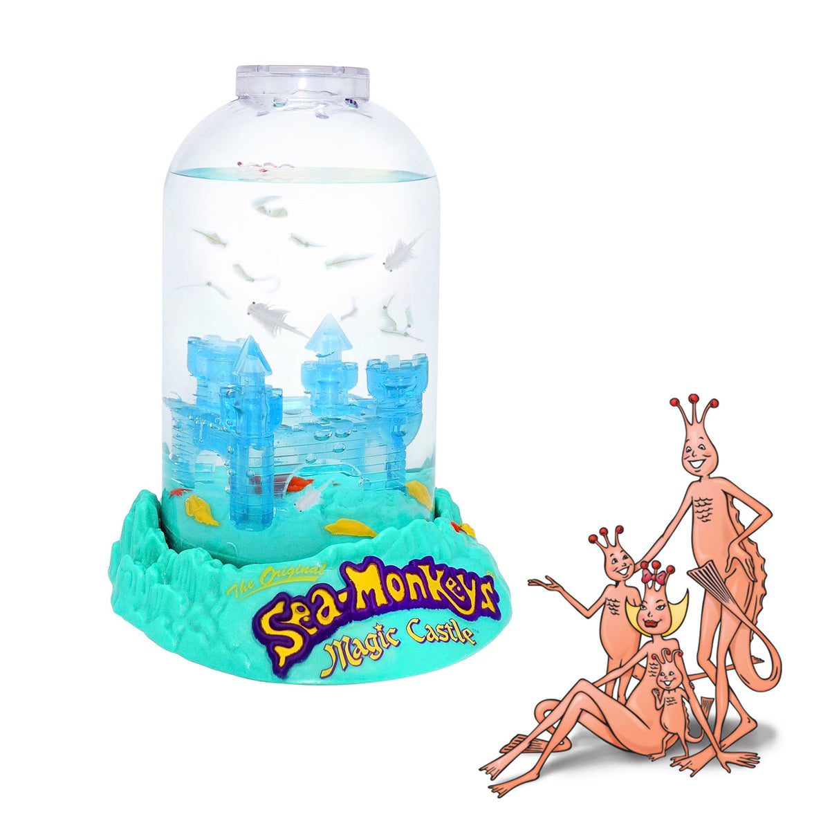 Sea Monkeys Magic Castle demonstrates a two-year lifespan under ideal home conditions