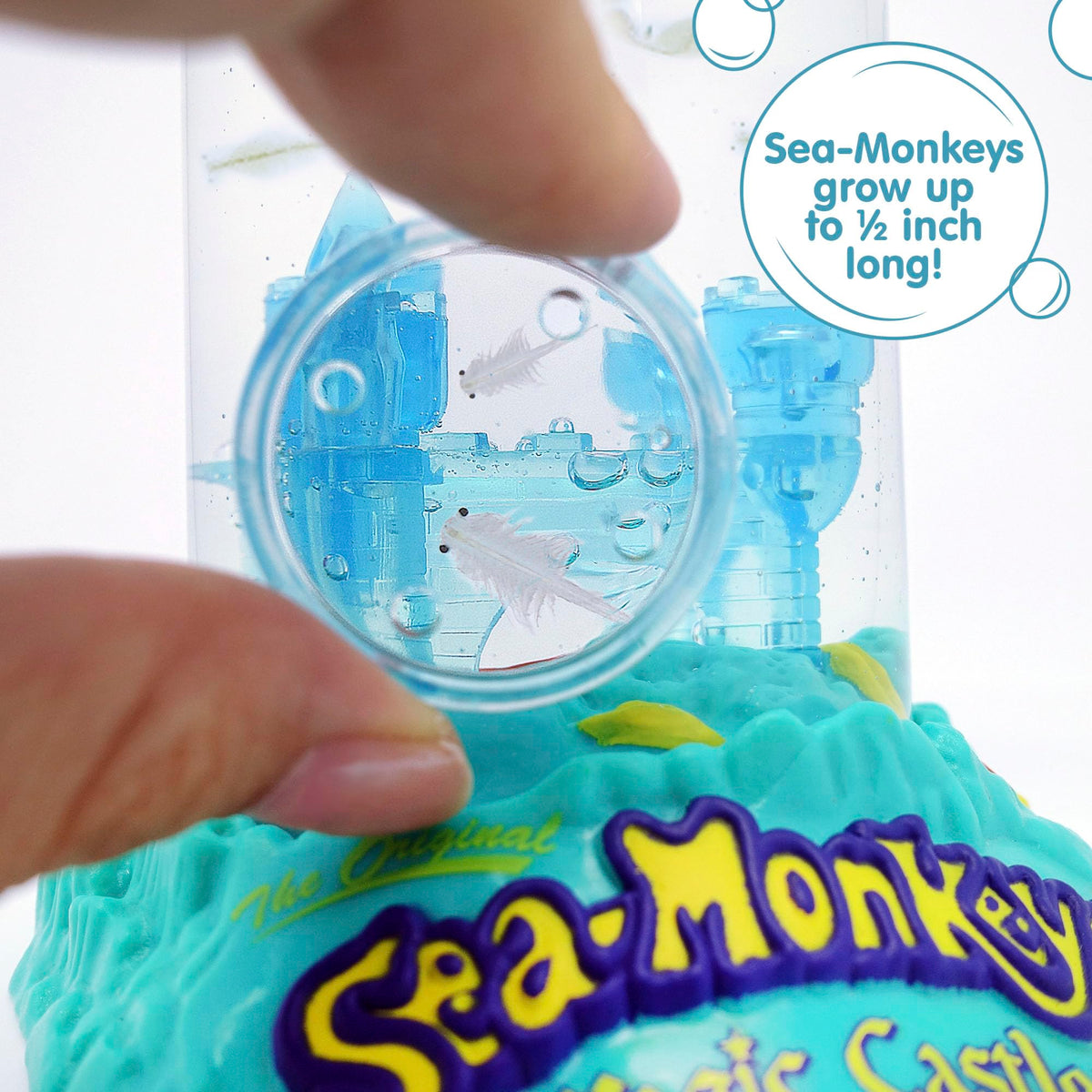 Sea Monkeys Magic Castle water purifier helps maintain clear, healthy viewing