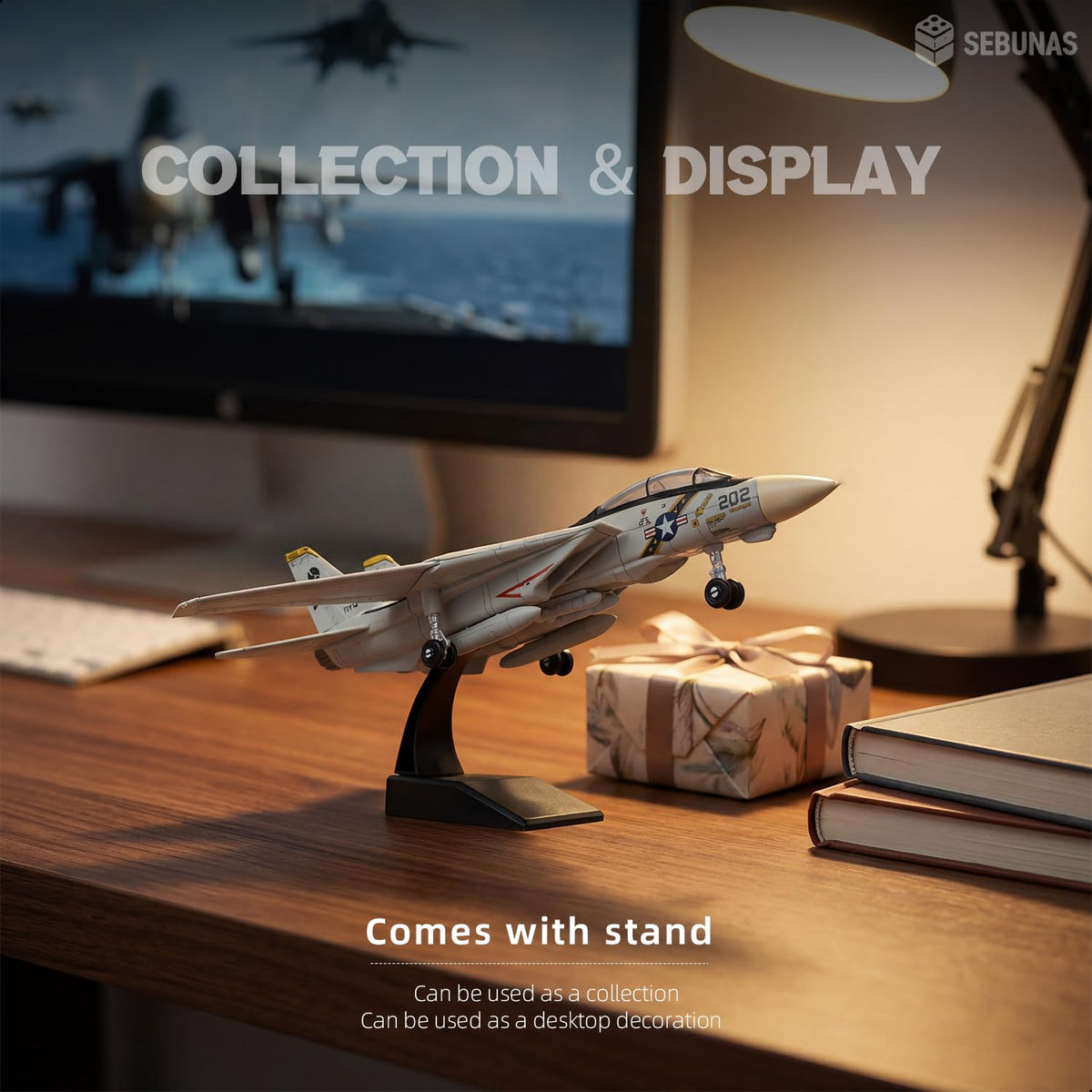 SEBUNAS F-14 Tomcat desk display-ready model.