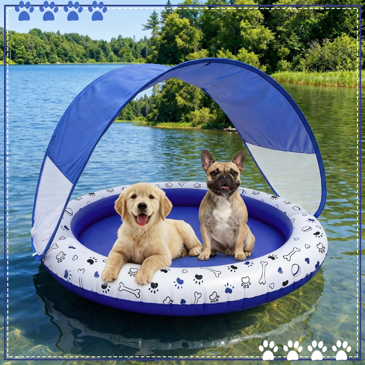 Seenelling boat-style safety design keeps pups balanced and mostly dry