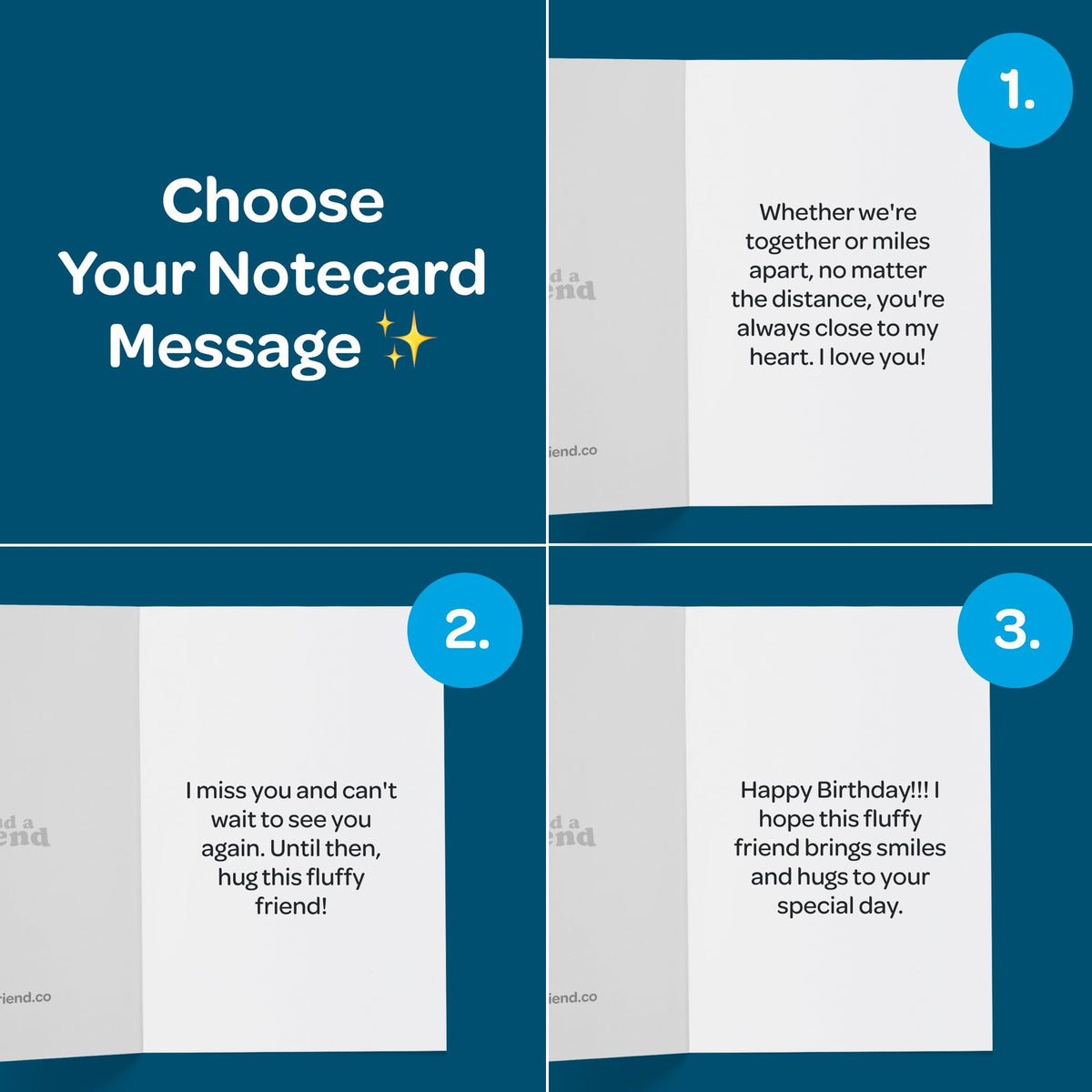 SendAFriend Care package packing demonstrates effortless gifting for any occasion