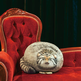 Sew Butiful Steppe Cat room decor idea for playful spaces.