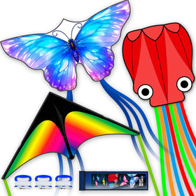 SGftre delta butterfly kite soaring for family outdoor fun and easy handling