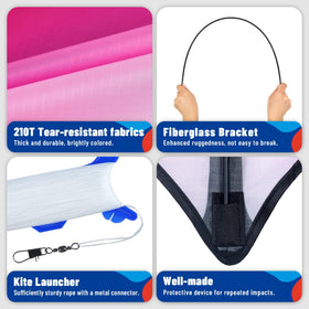 SGftre Delta Kite outdoors on a breezy day, ideal for parks and beaches