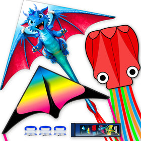 SGftre delta kite in the sky offering stable lift for beginners.