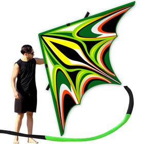 SGftre Delta Kite for kids at the beach, easy to learn and fly.