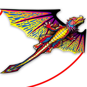 SGftre complete kite package ready to fly for family fun on a sunny beach