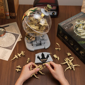 SHAREHB sturdy display stand keeps the fossil globe as a decorative educational piece