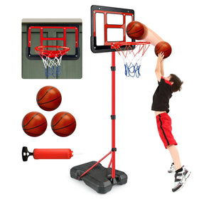 ShyLizard basketball hoop backboard assembly for quick setup and play