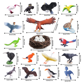 SIENON Macaw figure — vivid colors for classroom displays and storytelling.