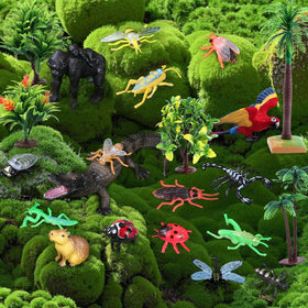 SIENON insect variety adds realism to displays and dioramas.