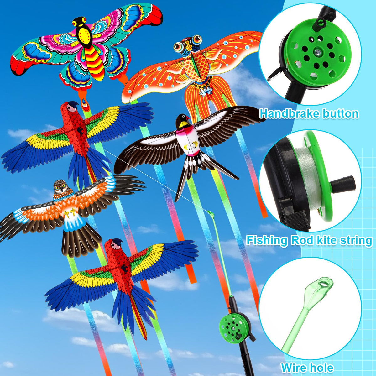 Simgoing parrot kite, bright design ideal for lively outdoor gatherings.