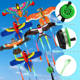 Simgoing parrot kite, bright design ideal for lively outdoor gatherings.