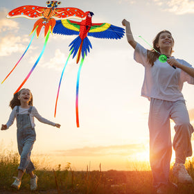 Simgoing phoenix kite, bold silhouette for dramatic sky flights.