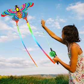 Simgoing swallow kite, beginner-friendly flight for joyful outdoor moments.