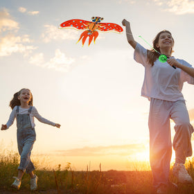 Simgoing parrot kite adds bright flair for spring picnics and family reunions